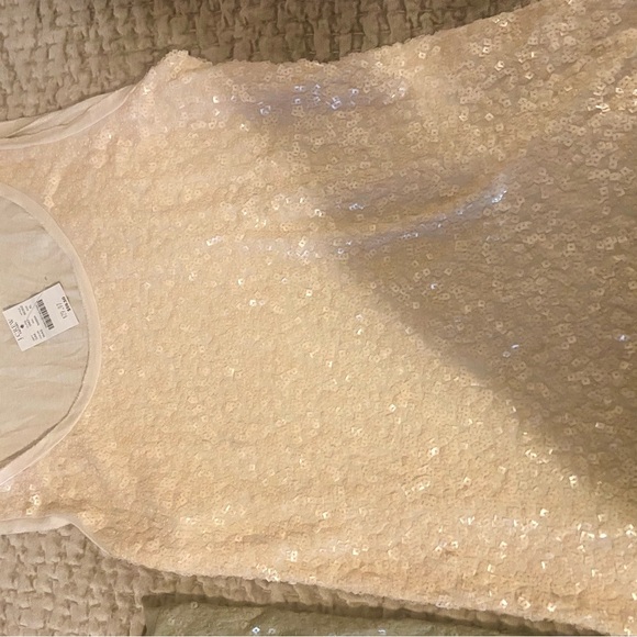 J Crew Sequin Tank Tops Set - Olive Green, Beige, Navy Blue and Oatmeal Size XL - Picture 3 of 14